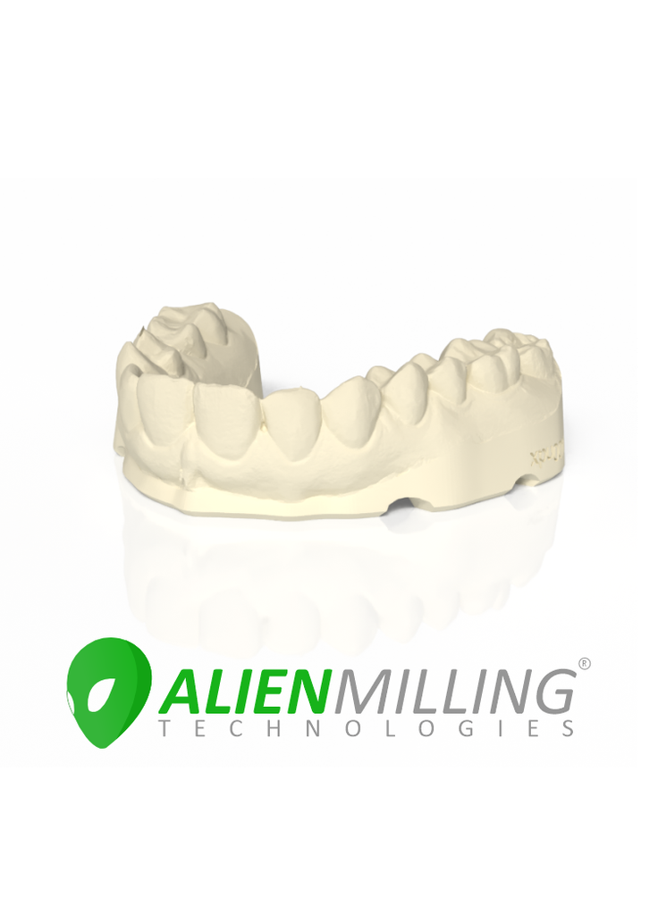 Alien 3D Printed Dental Models